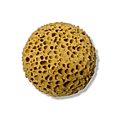 Yuvarlak Sentetik Efekt Süngeri