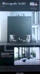 MARCOPOLO SABLE Renk Kartelası